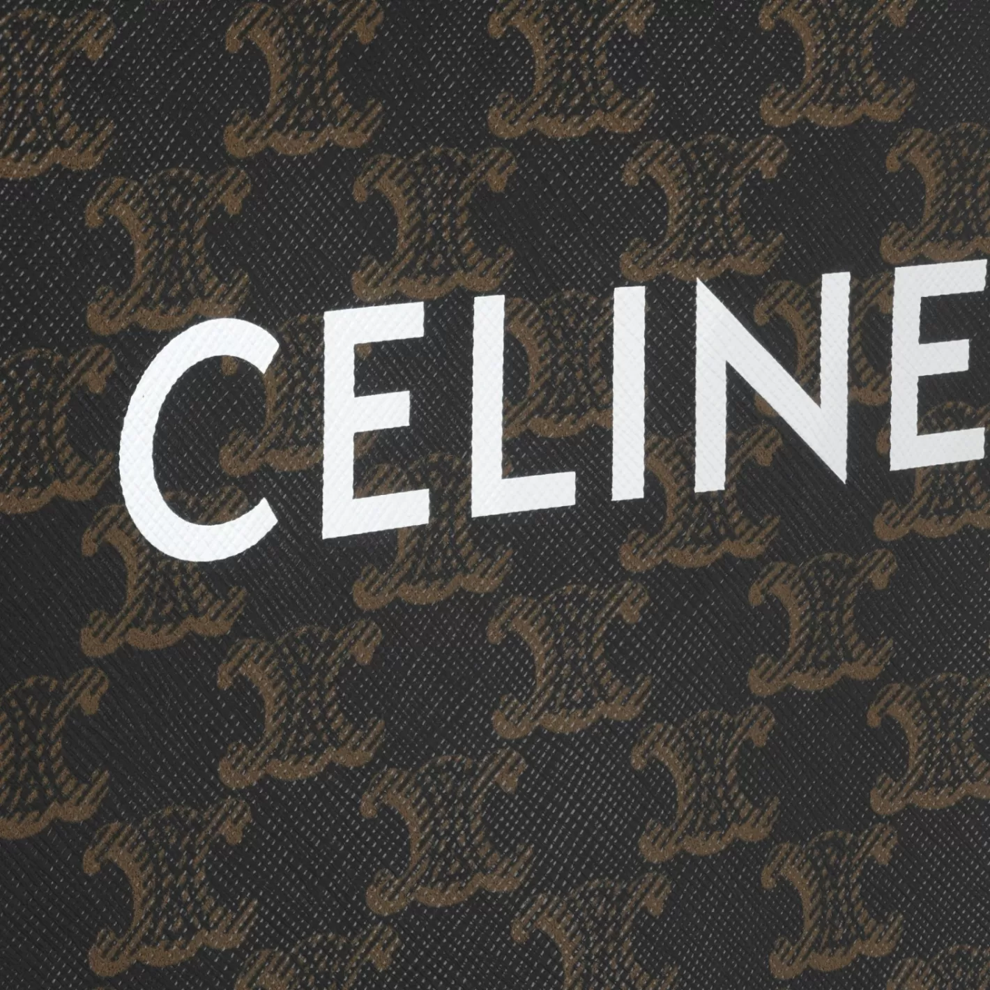 Cheap CELINE Mini Vertical Cabas in Triomphe Canvas and calfskin with print Tan