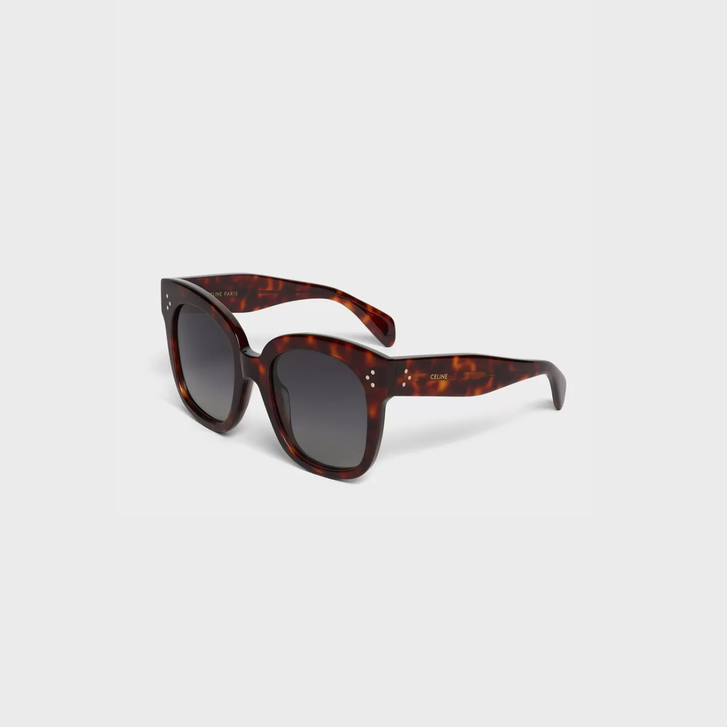 Fashion CELINE Oversized S002 Sunglasses in Acetate with Polarized Lenses RedHavana